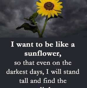 Meet your Posher, Yolanda